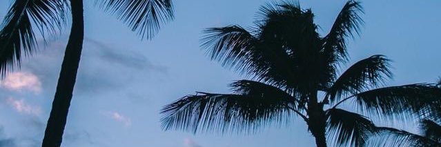 KimCorona1's profile banner image