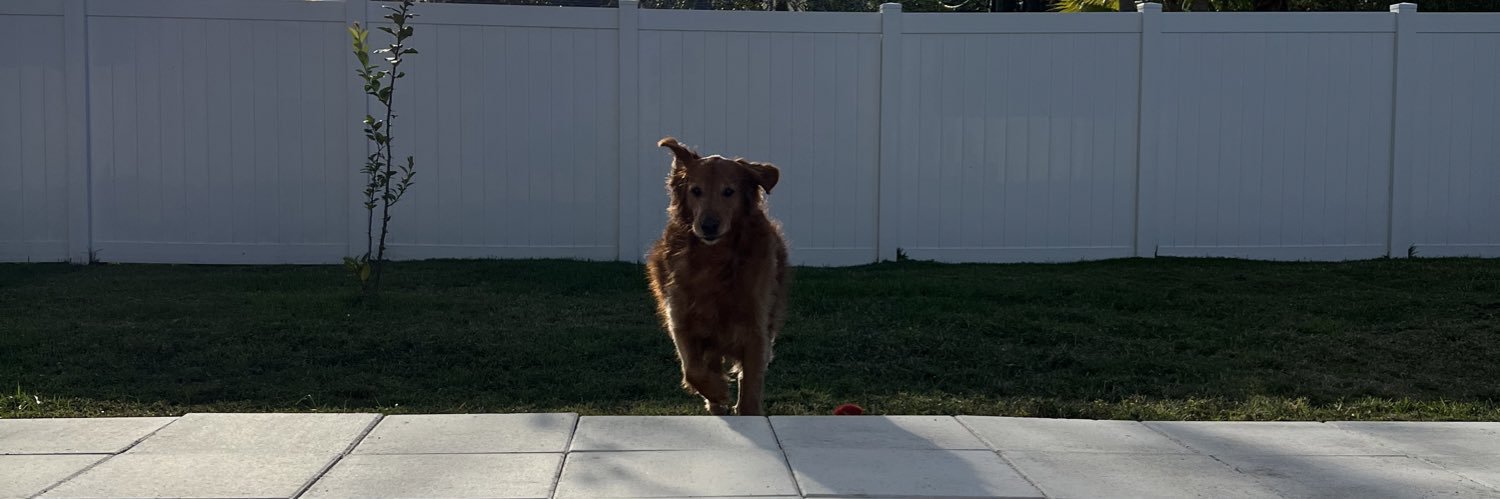 robertblob2's profile banner image