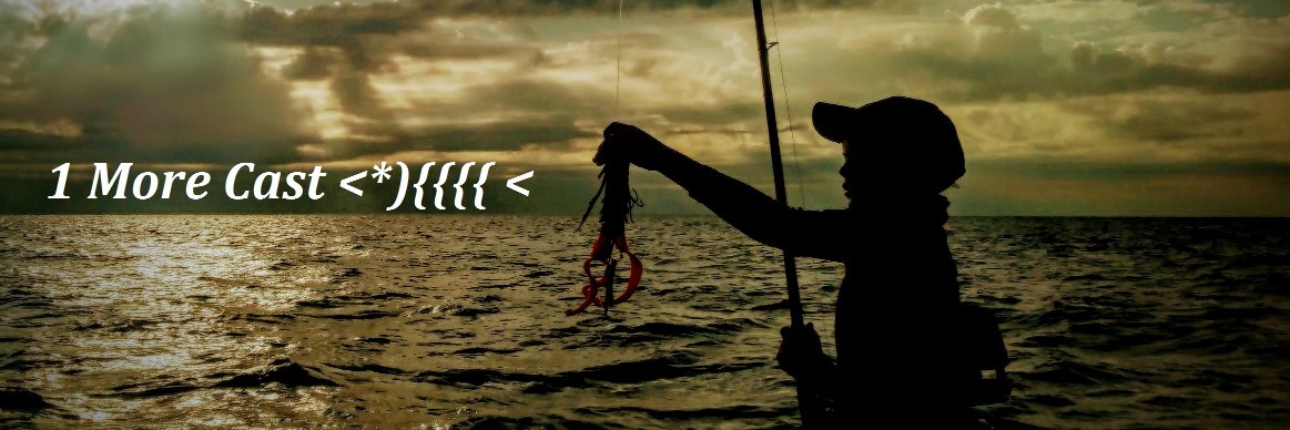 bmercado71's profile banner image