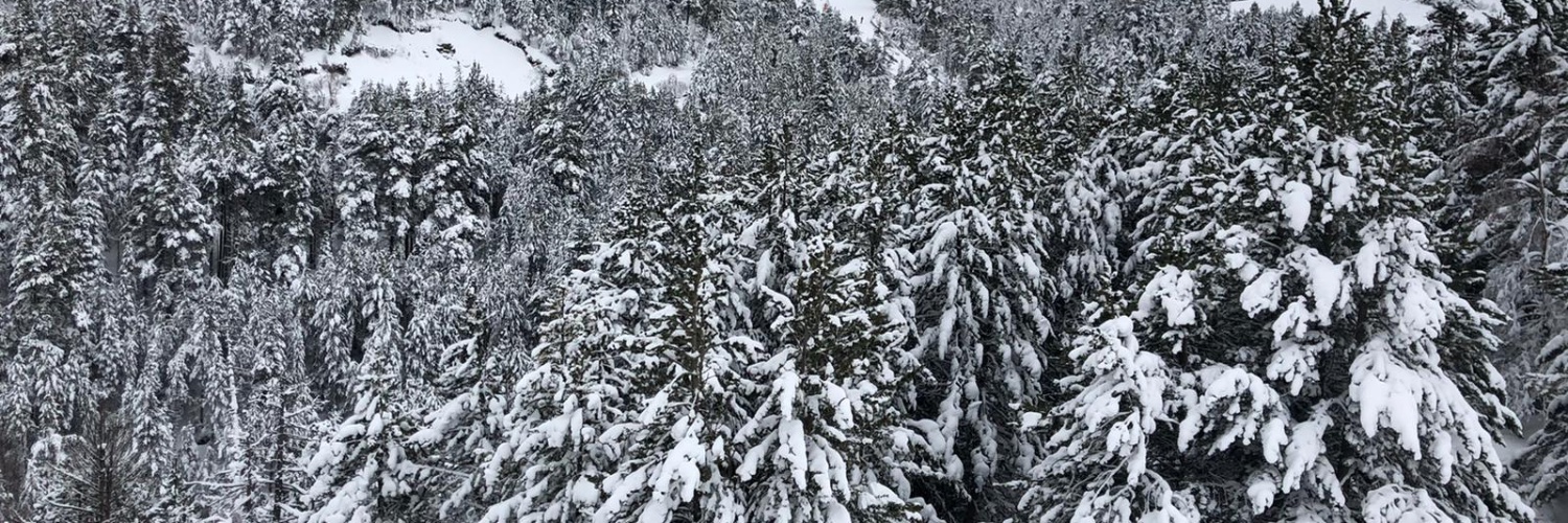 laurarf24's profile banner image