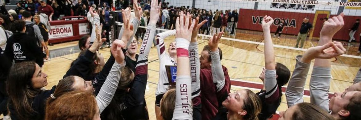 Verona Volleyball banner