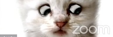 ItsJimmyNotJim's profile banner image
