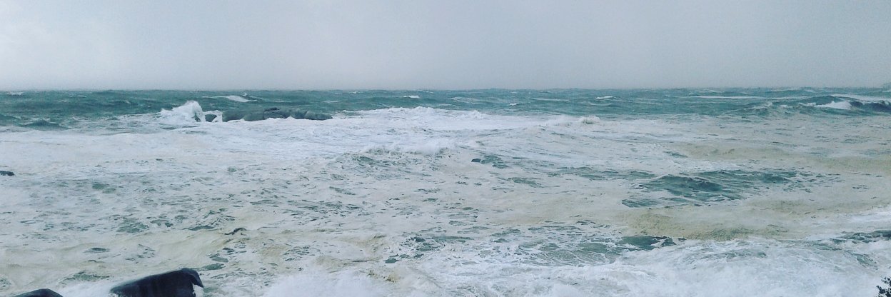 Sannie Fox 🍕🎸👐 banner