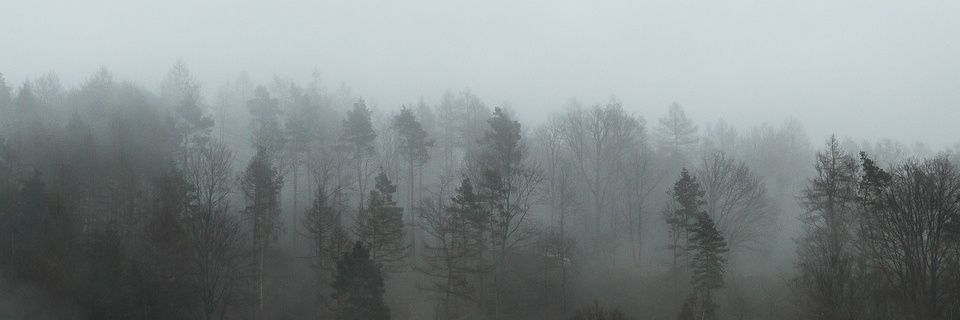 juliacg01's profile banner image