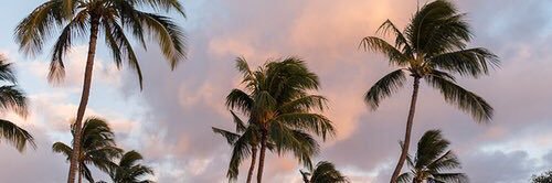 haydeeflrs's profile banner image