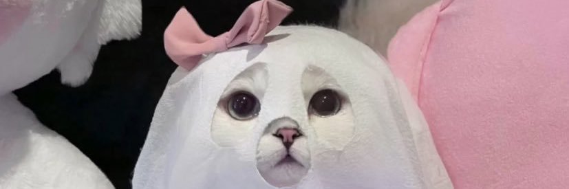 Jayjayjay banner