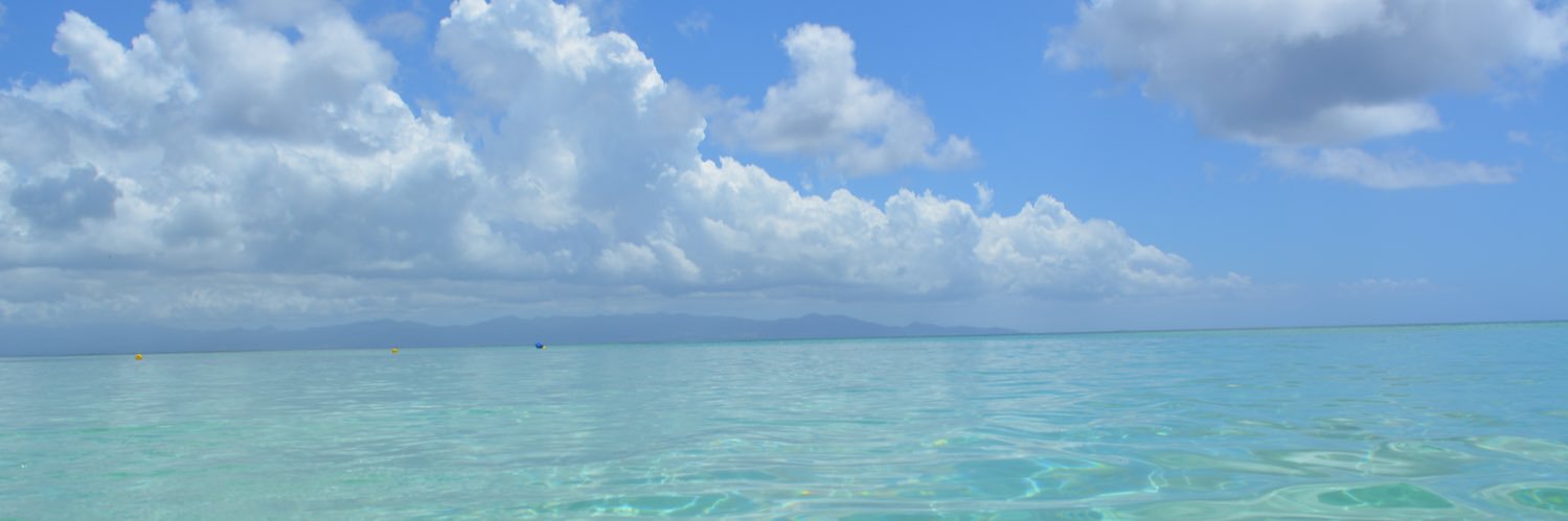 underwavesblog's profile banner image