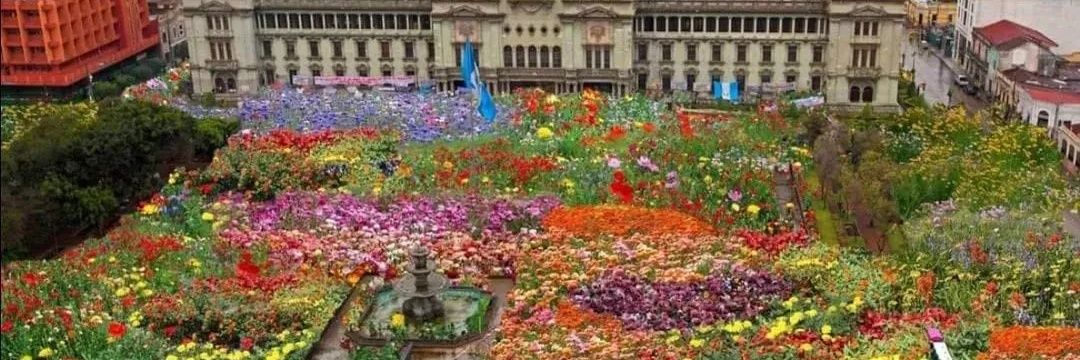 StellaMatutina banner