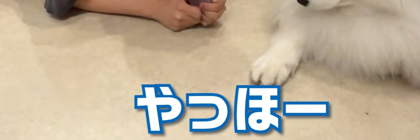 _ohaohayo_'s profile banner image