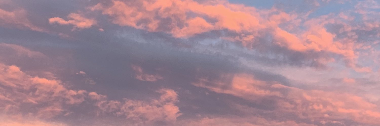 _HaileyJenkins_'s profile banner image