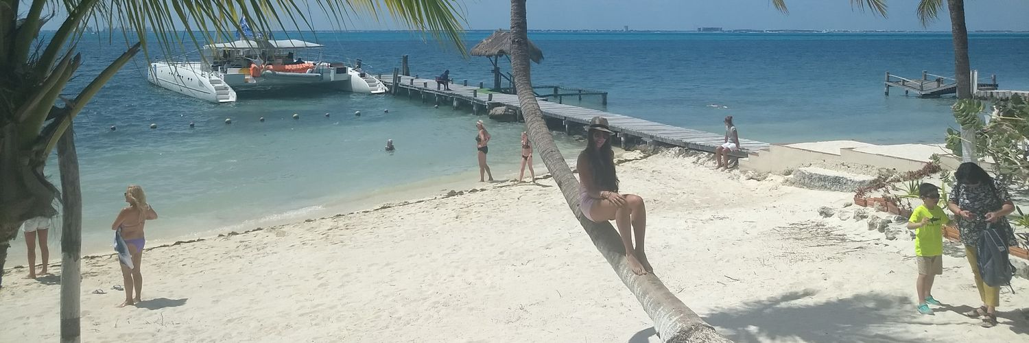 juumilanesio's profile banner image