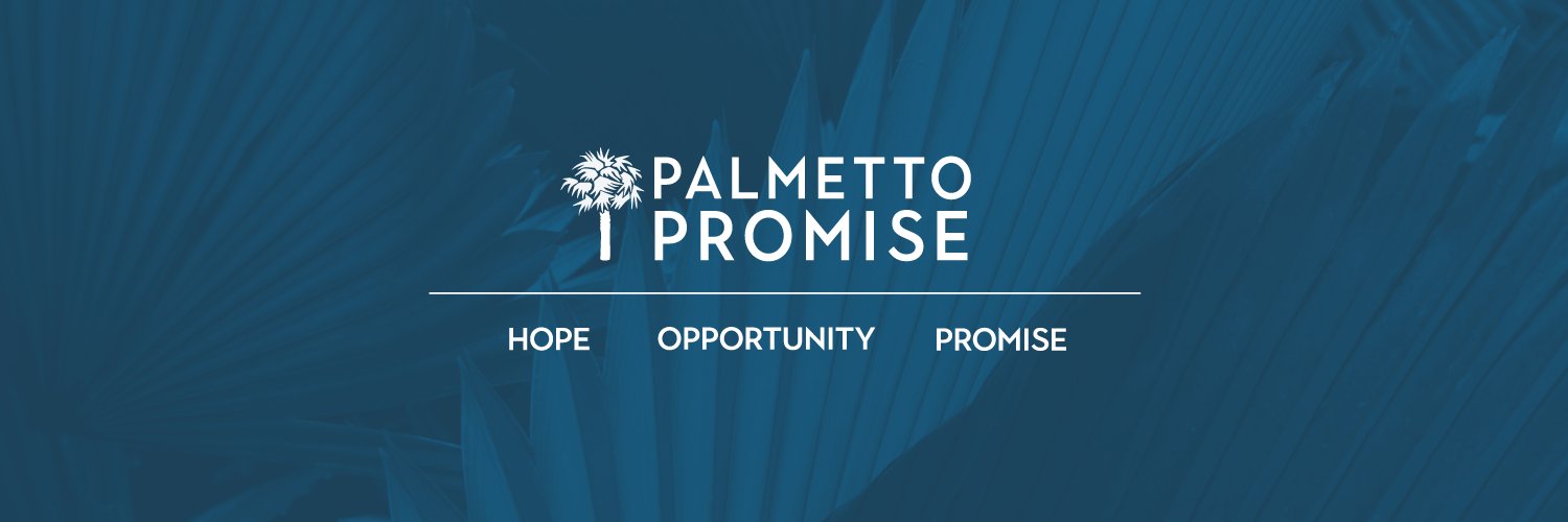 Palmetto Promise's banner