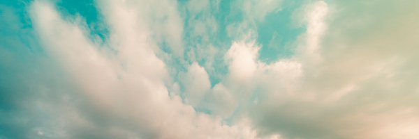 Shenelle_r Profile Banner