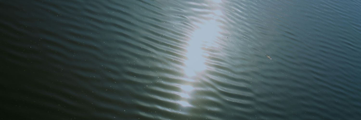 MDarcz's profile banner image