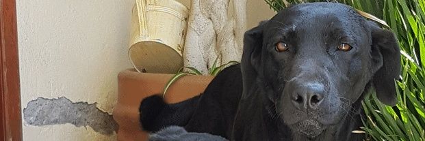Raulbemora's profile banner image