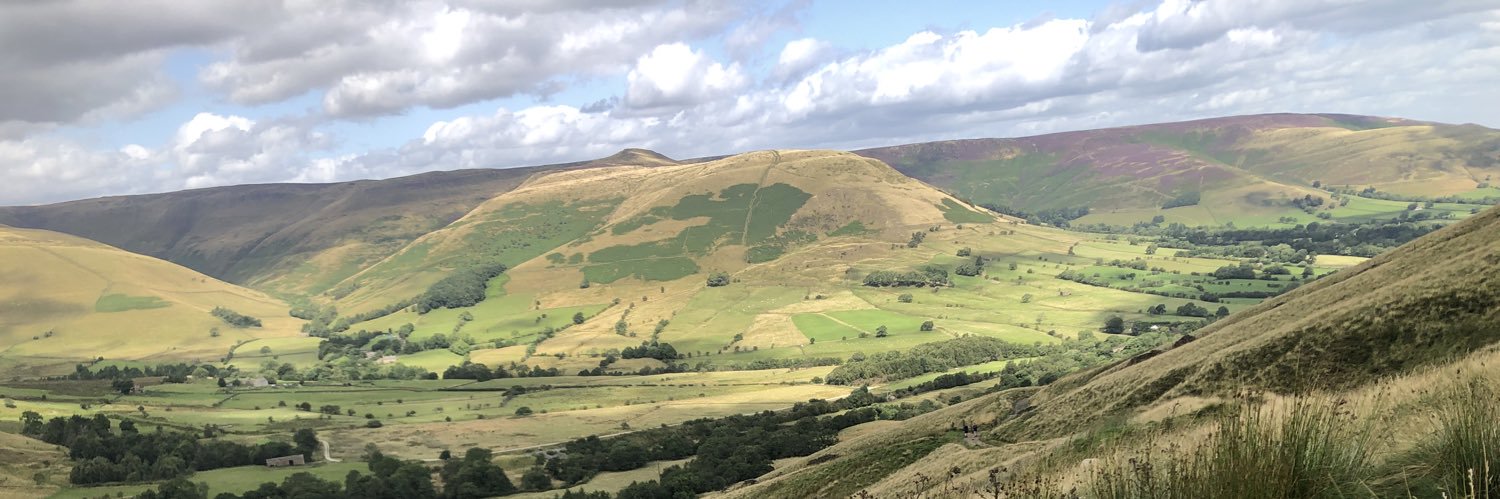 Rosaline VandeWeyer banner