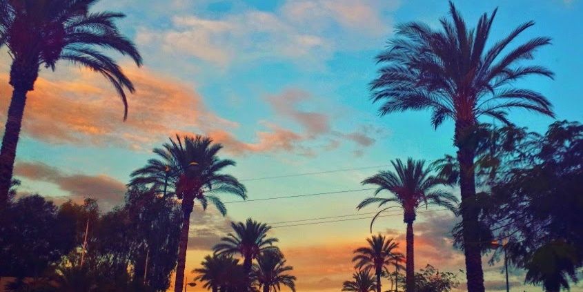 noeliaaaa15's profile banner image