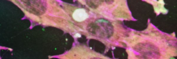 AkivaAnat Profile Banner