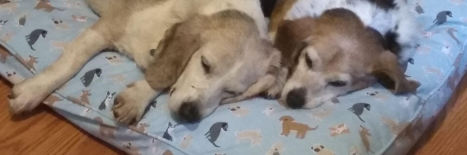 deeandsammy's profile banner image
