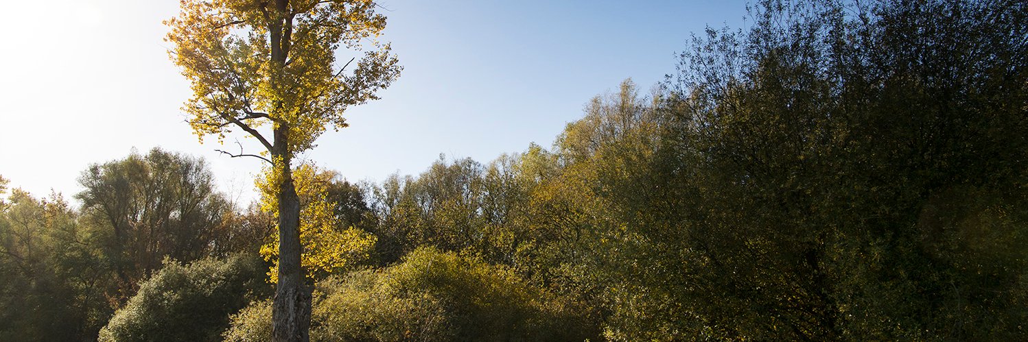 De Groene Buffer banner