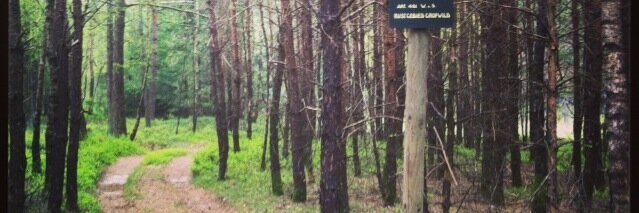 mvanweeren's profile banner image
