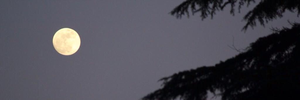 Micaela banner