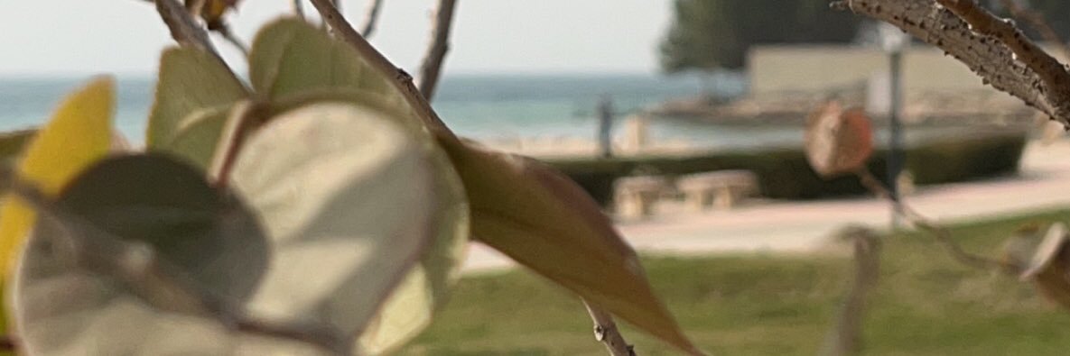 ABDULLAH⚕ banner