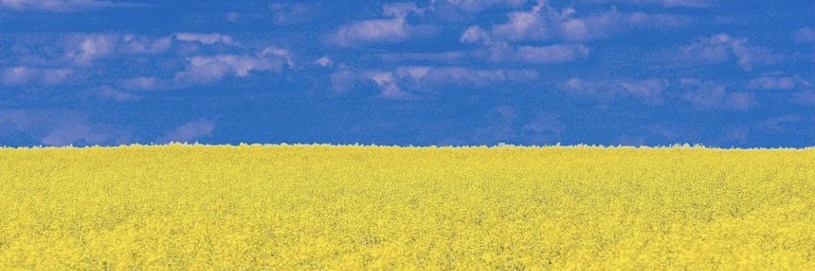 pma85's profile banner image