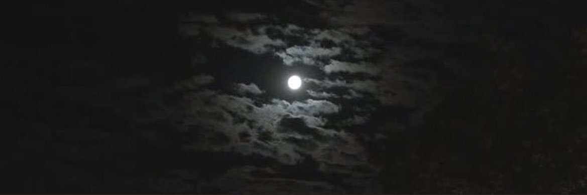 عبدالله banner