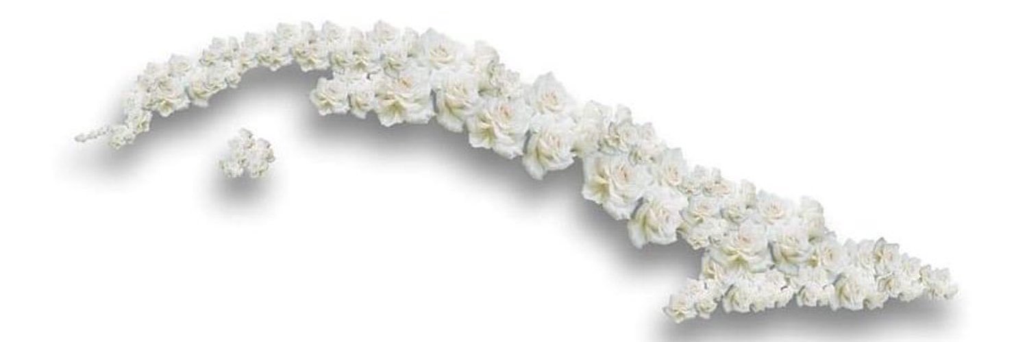 Iris Castro banner