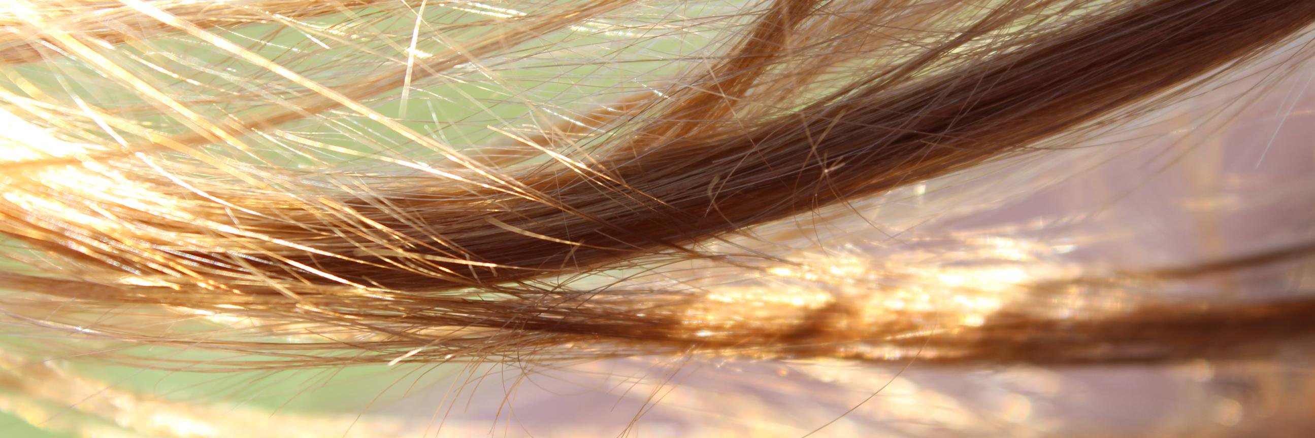 Lauraredn_00's profile banner image