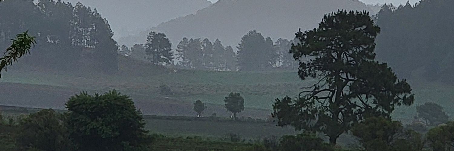 Lmrr84's profile banner image