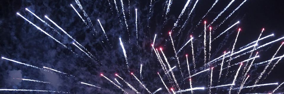 camillapintom's profile banner image
