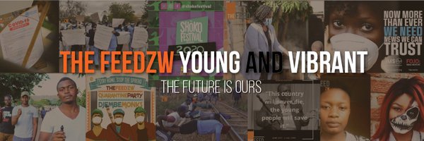 TheFeedZW Profile Banner