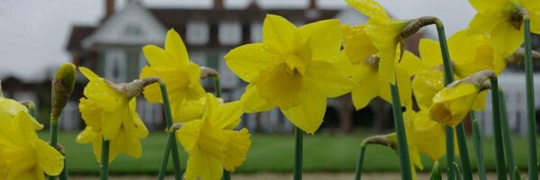 DarrenVenables Profile Banner