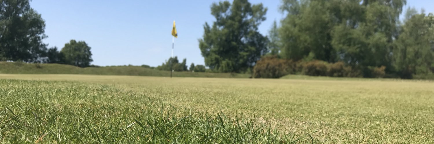 NewForestGolf's profile banner image