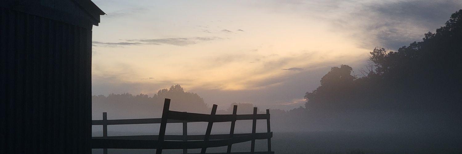 Jess Burn banner