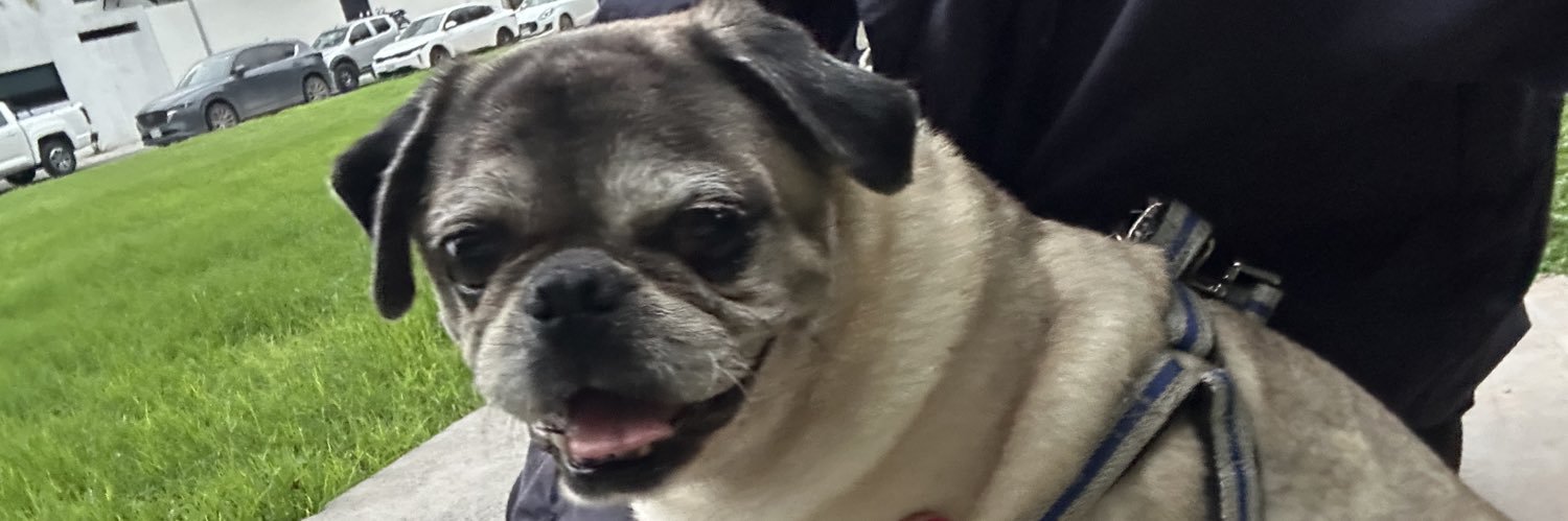 daniilunaa_'s profile banner image