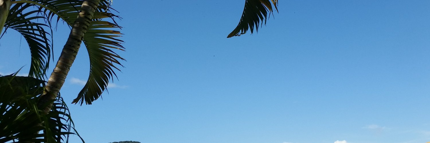 AzulAgapanto's profile banner image