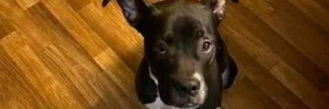 RB Slix 🇵🇷 banner