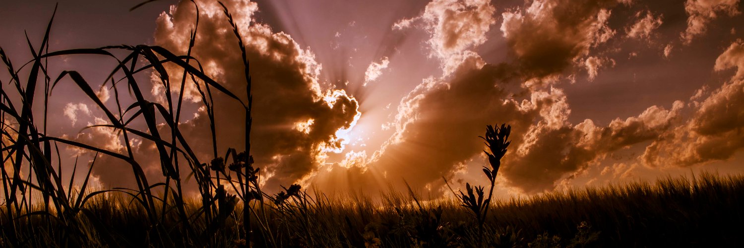 ユキヒト@ banner