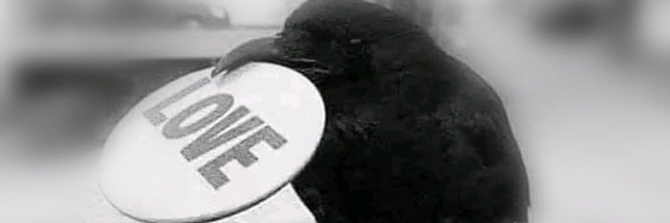 Saaam banner