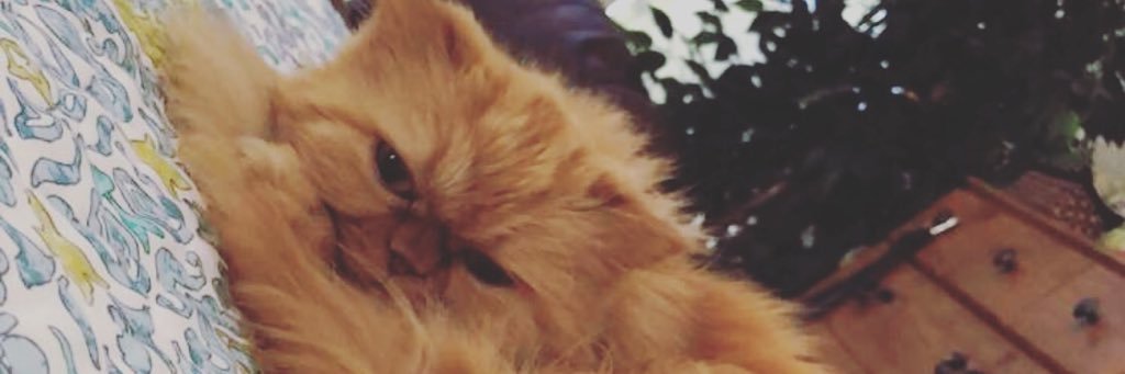 KyraOdat's profile banner image