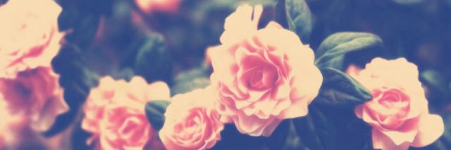 priscillamik23's profile banner image