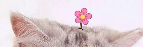 xHitsujii's profile banner image