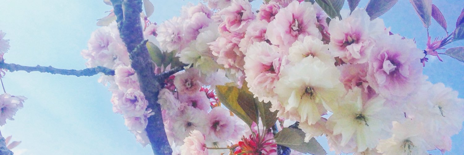 jemima_beth's profile banner image