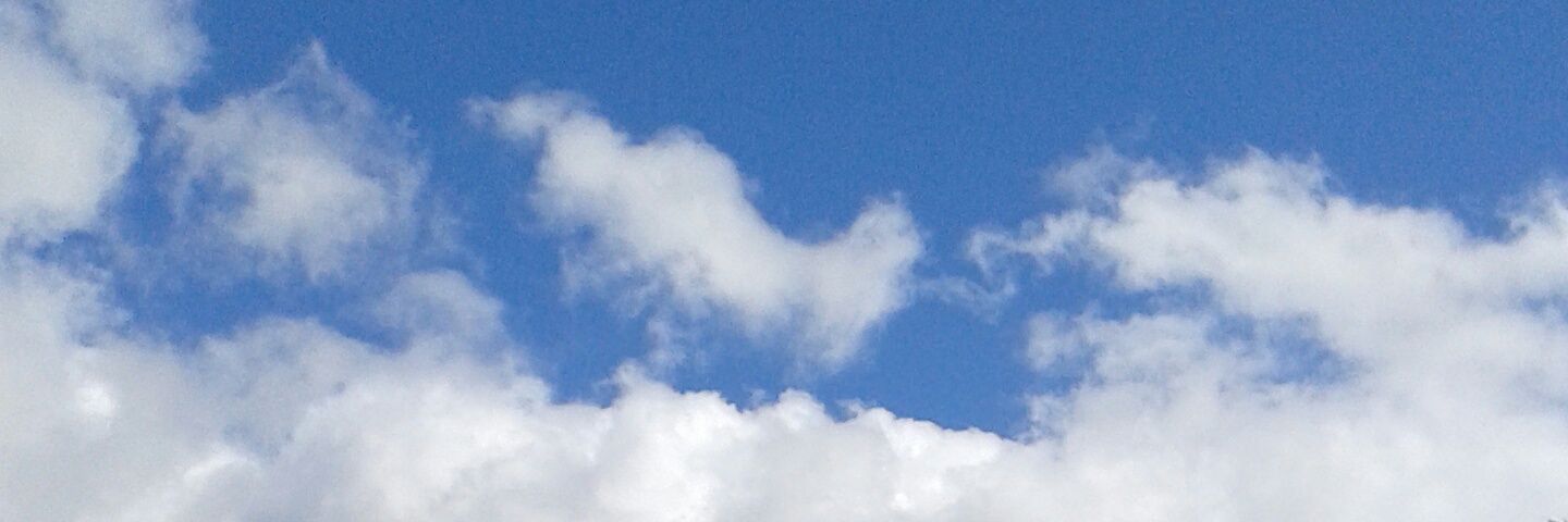 MaskedTails's profile banner image
