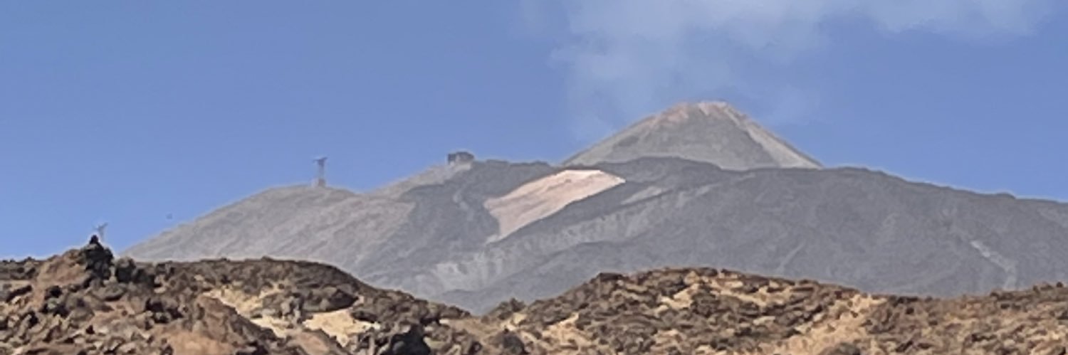 jane ann banner