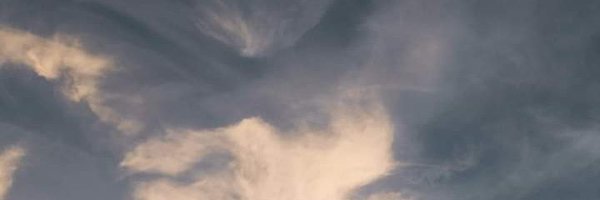 oSenhorRui Profile Banner