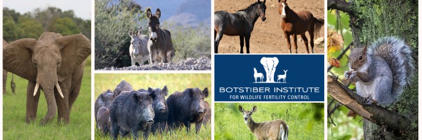 Botstiber Institute For Wildlife Fertility Control banner